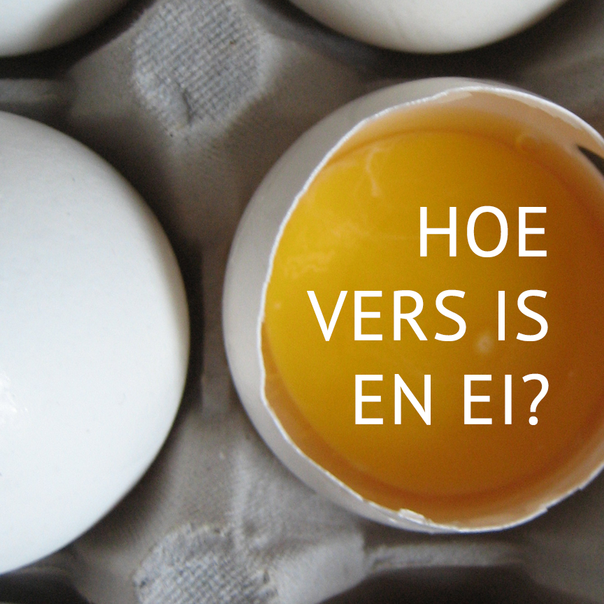 Empty the Fridge - Hoe vers is een ei