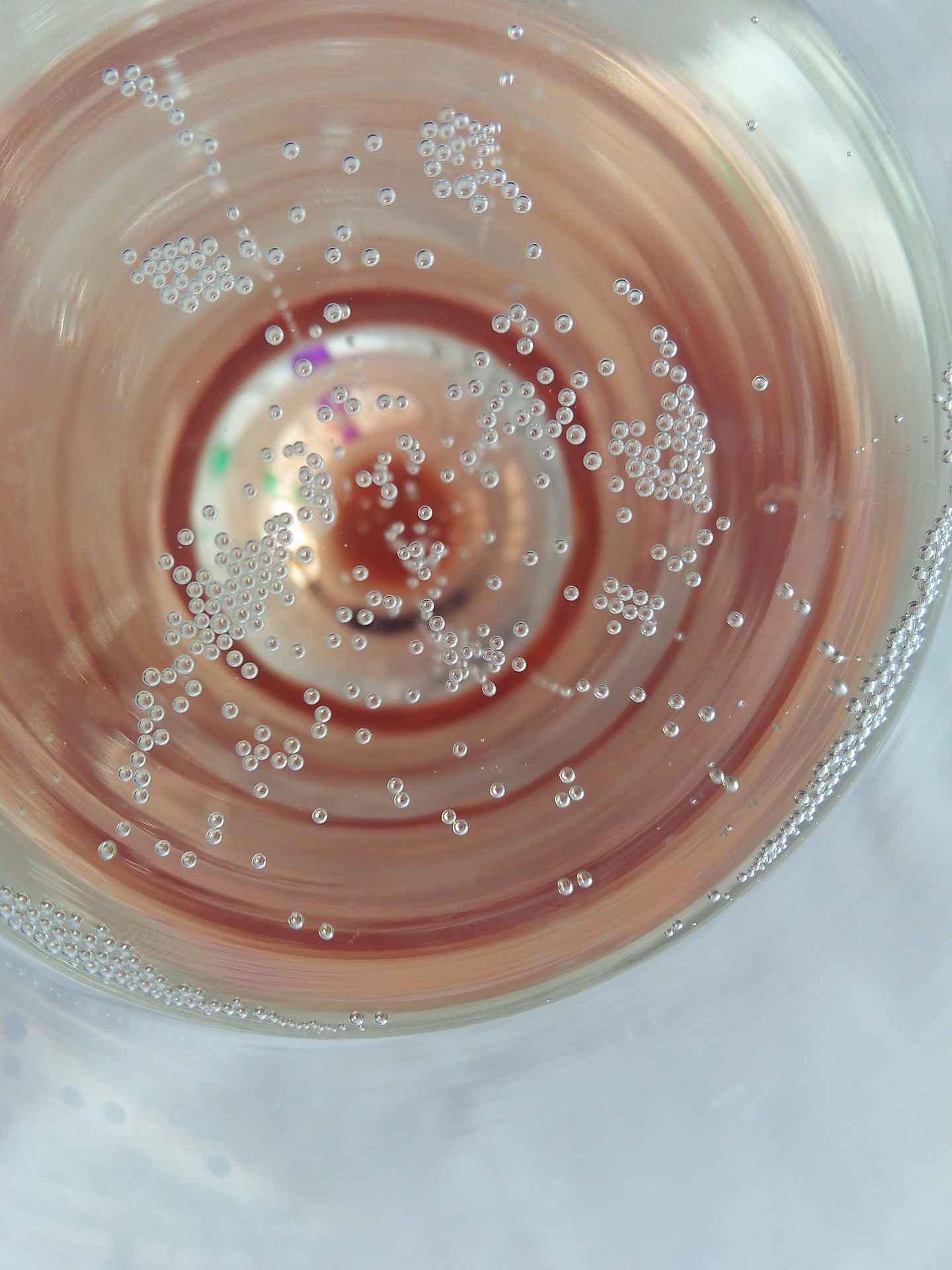 Empty the Fridge - Restje champagne
