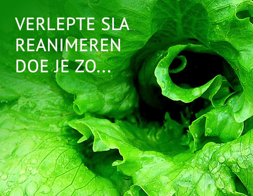Empty the fridge - Sla reanimeren