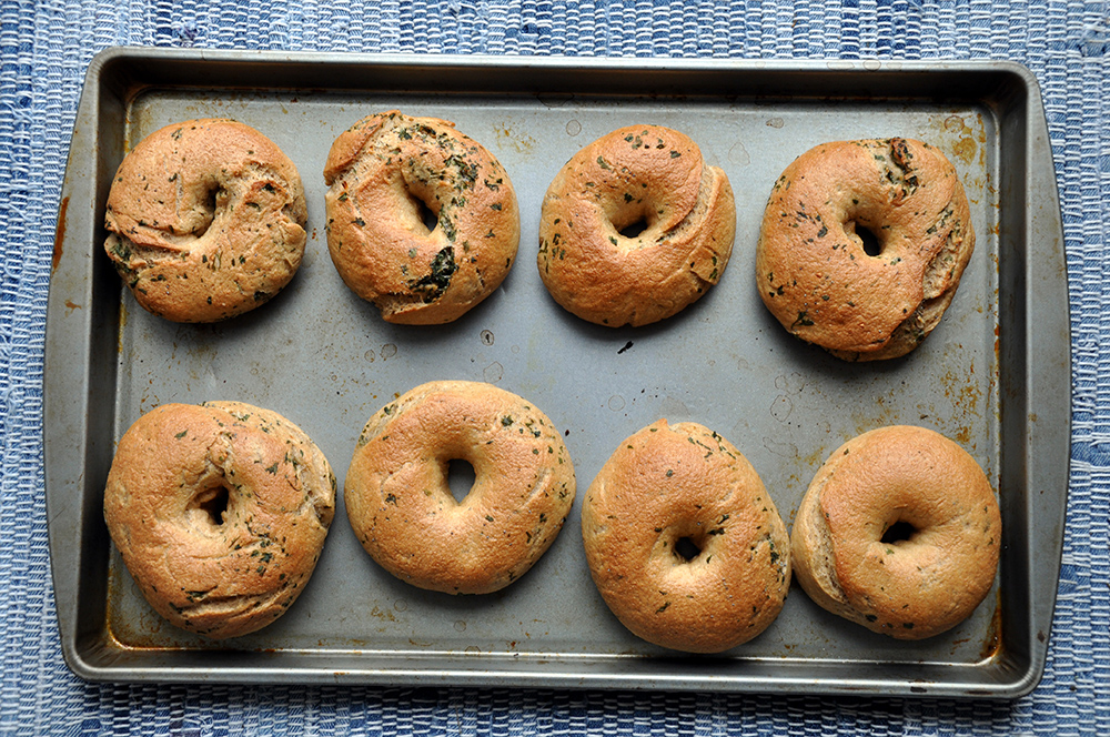 Empty the Fridge - Bagels
