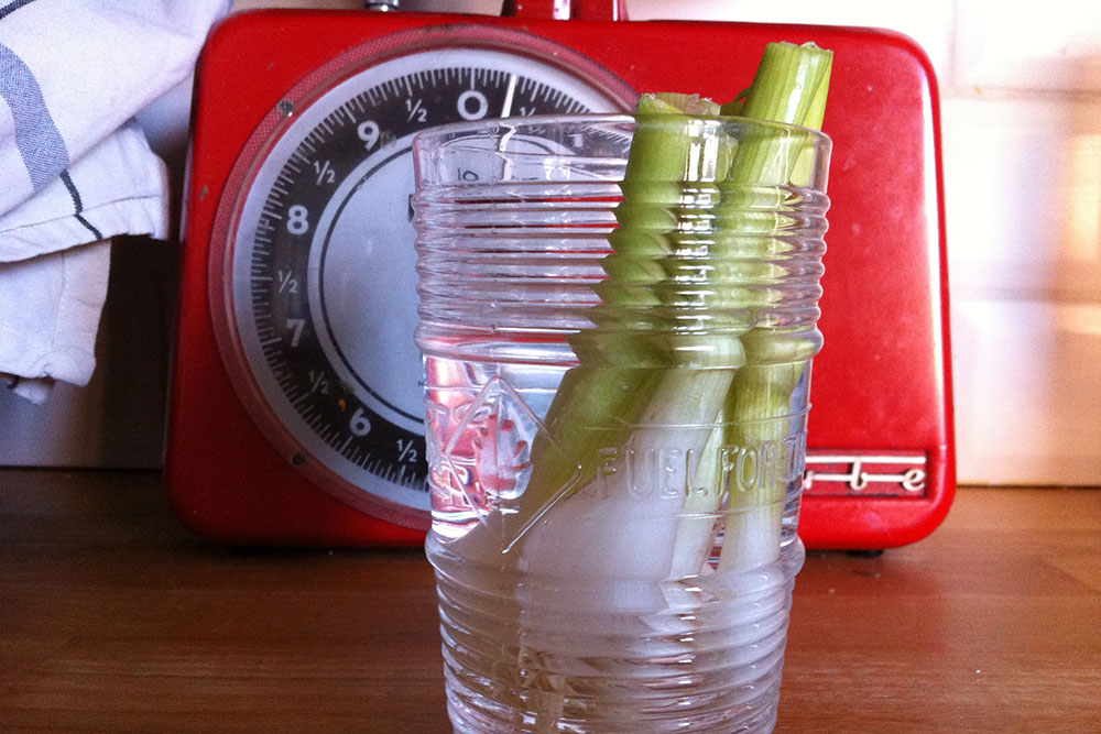 Empty the fridge - Oneindige pijpajuin lr