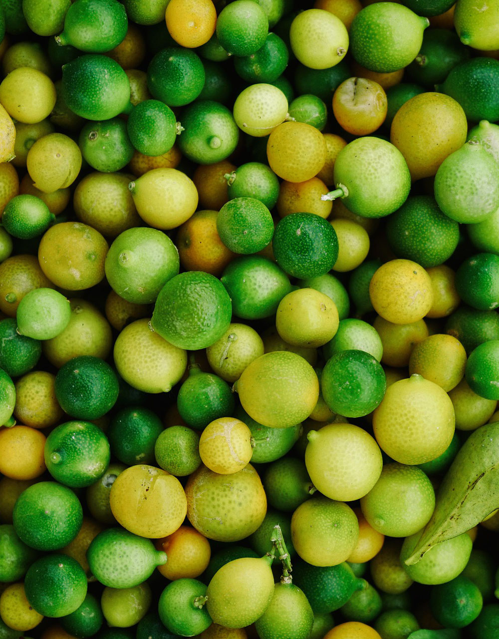 Empty the Fridge - Vitamine C op overschot
