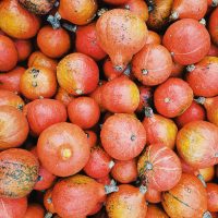 philipp-balunovic-412382-unsplash