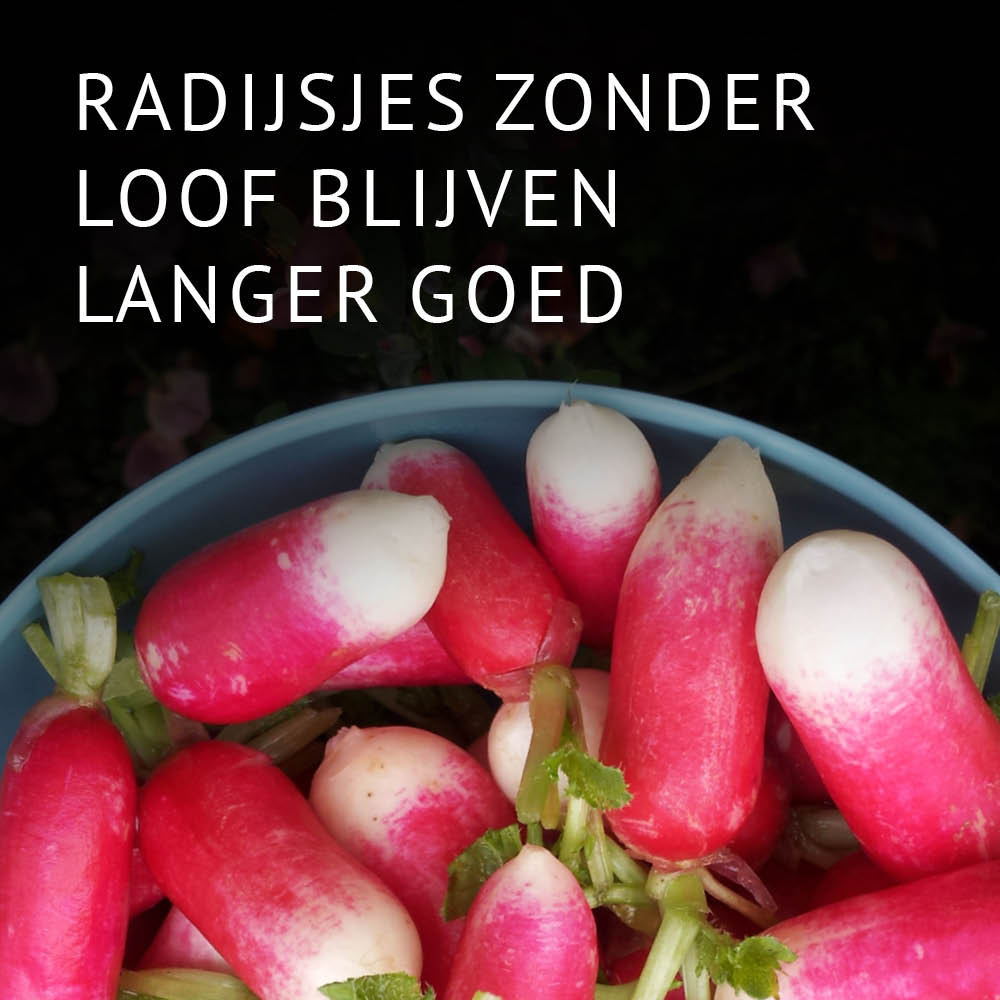 Empty the fridge - Radijsjes bewaartips