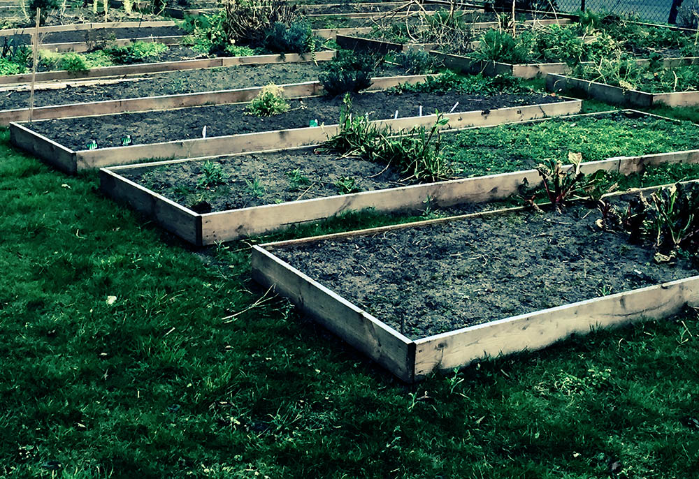 Empty the Fridge - Moestuindummy 2