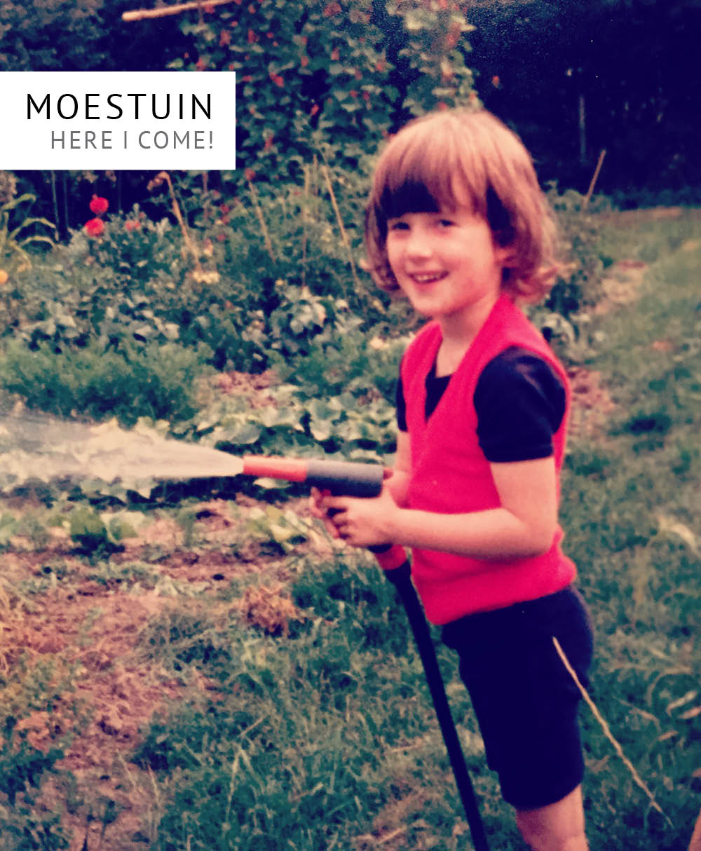 Empty the Fridge - Moestuindummy