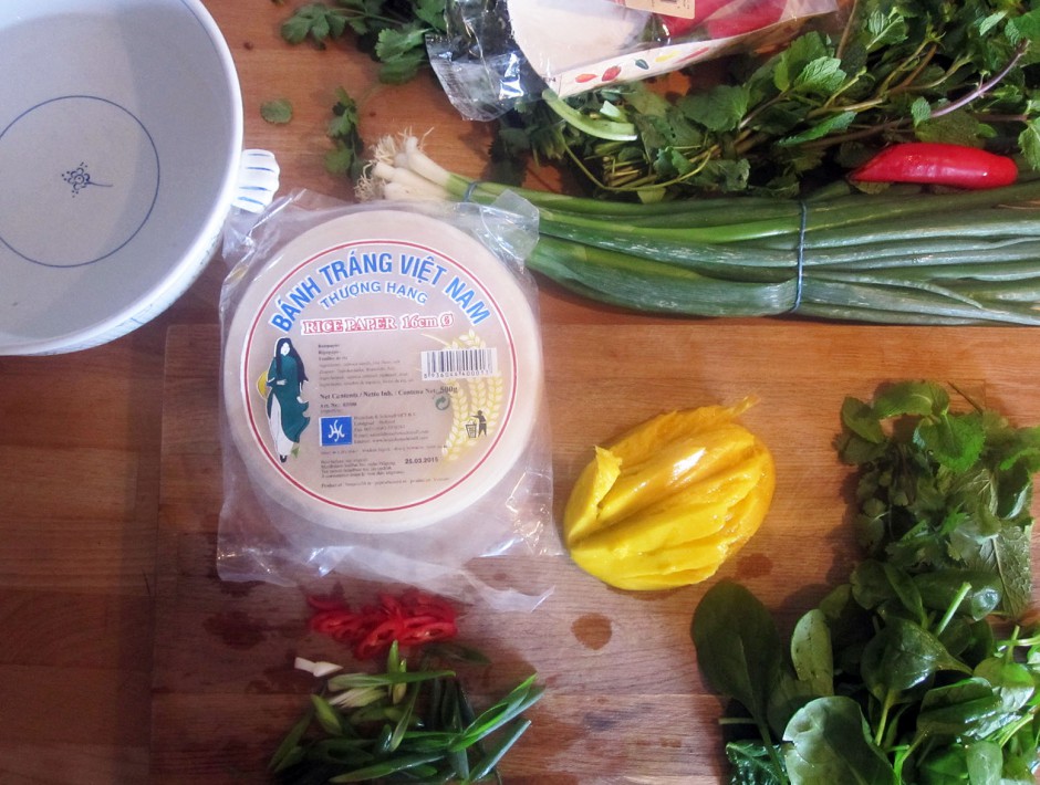 Empty the Fridge - Nems met mango en verse kruiden