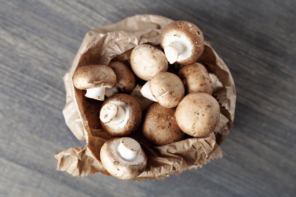 Empty the Fridge - 5 tips om champignons te bewaren