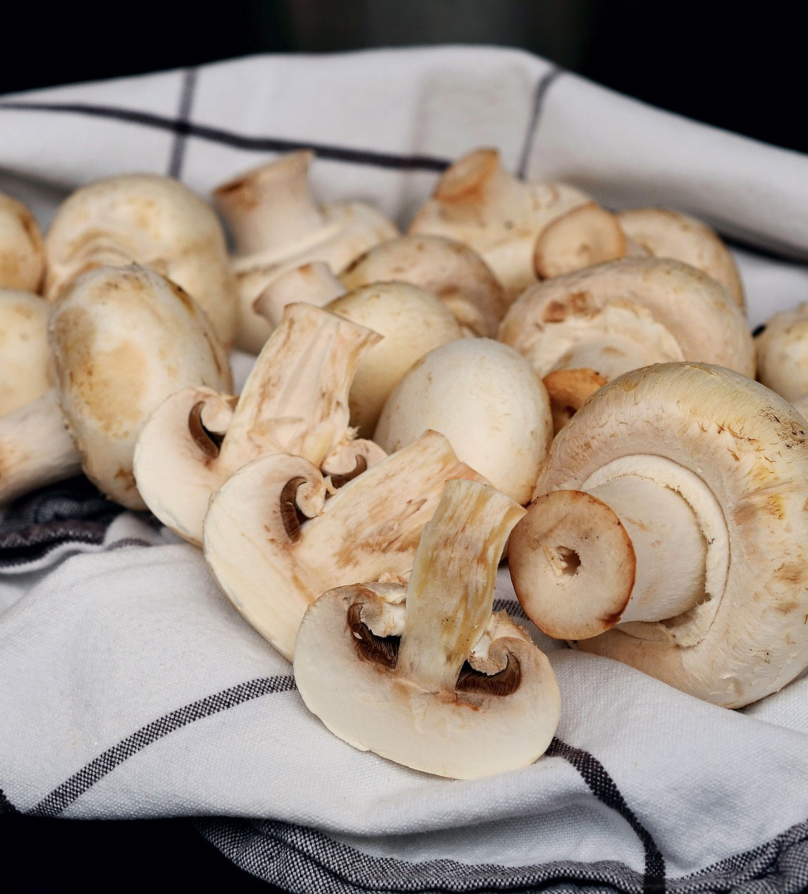 Empty the Fridge - 5 tips om champignons te bewaren
