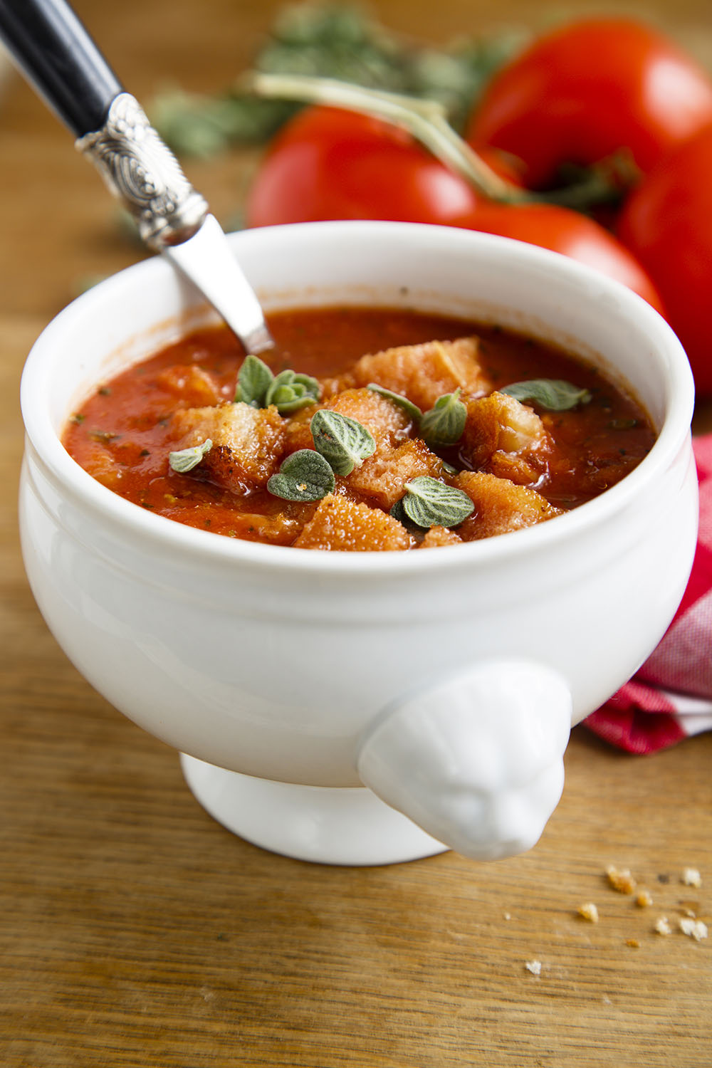 Empty the Fridge - Pappa al pomodoro