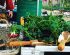 Empty the Fridge - Ons logisch voedsel