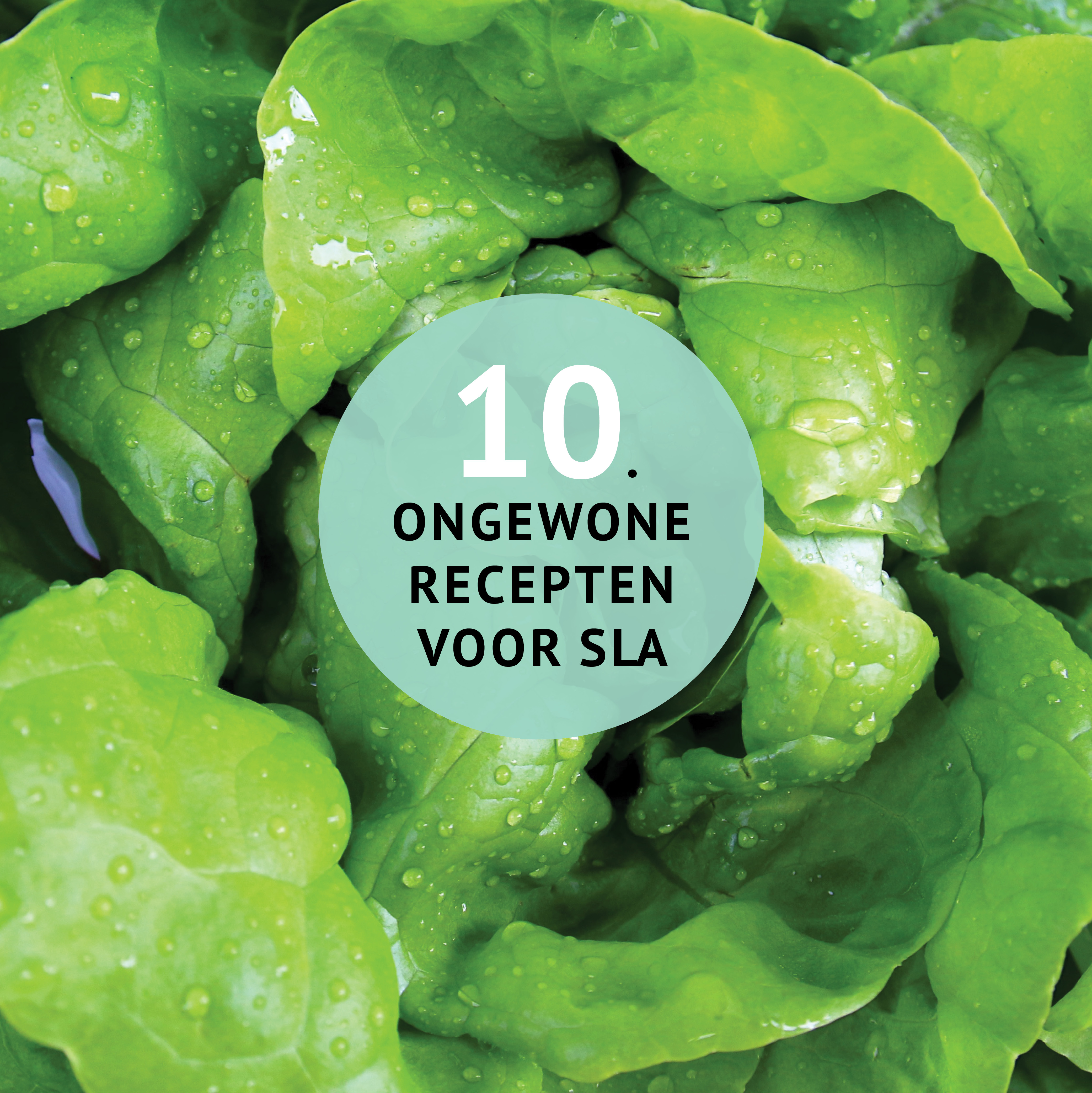 Empty the Fridge - 10 ongewone restjes recepten voor sla