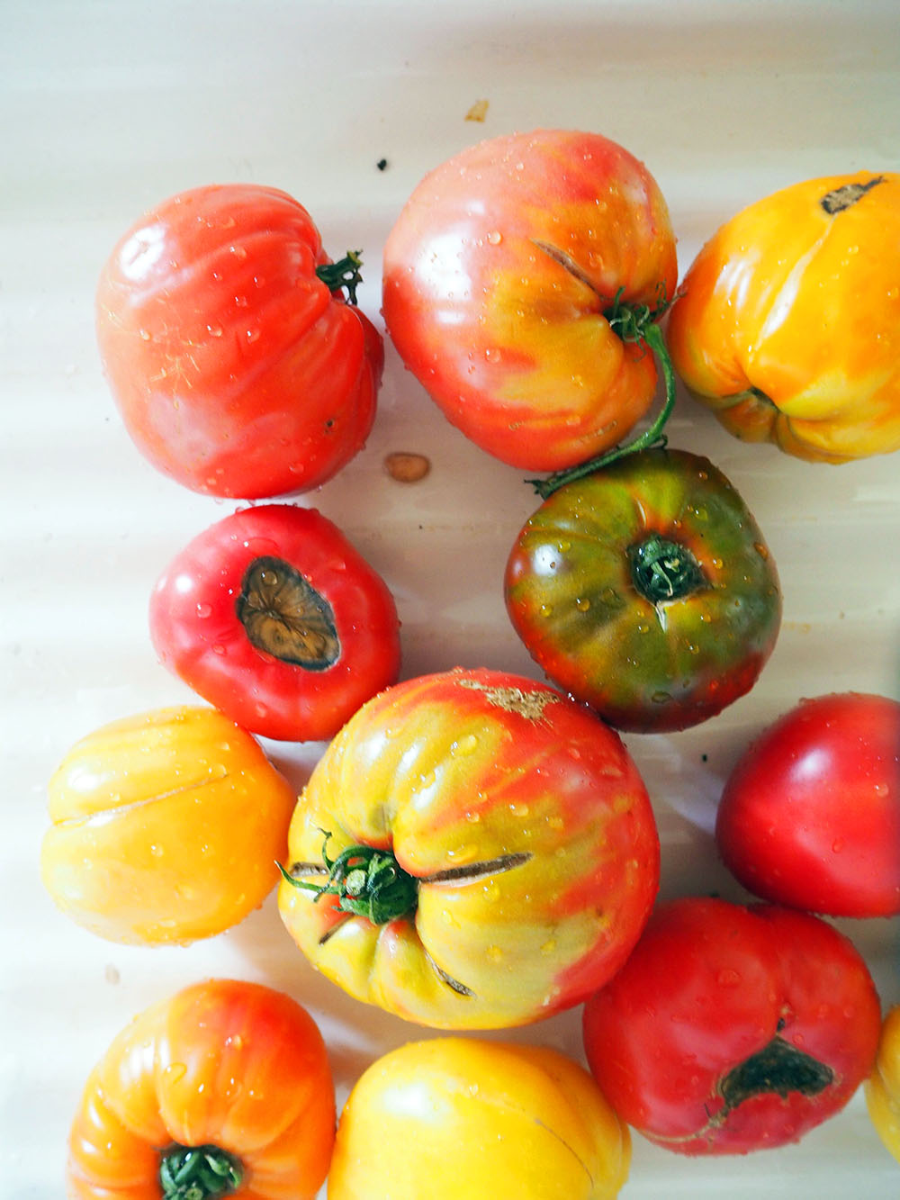 Empty the Fridge - Tomaten