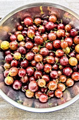red-gooseberries-2504099_1920