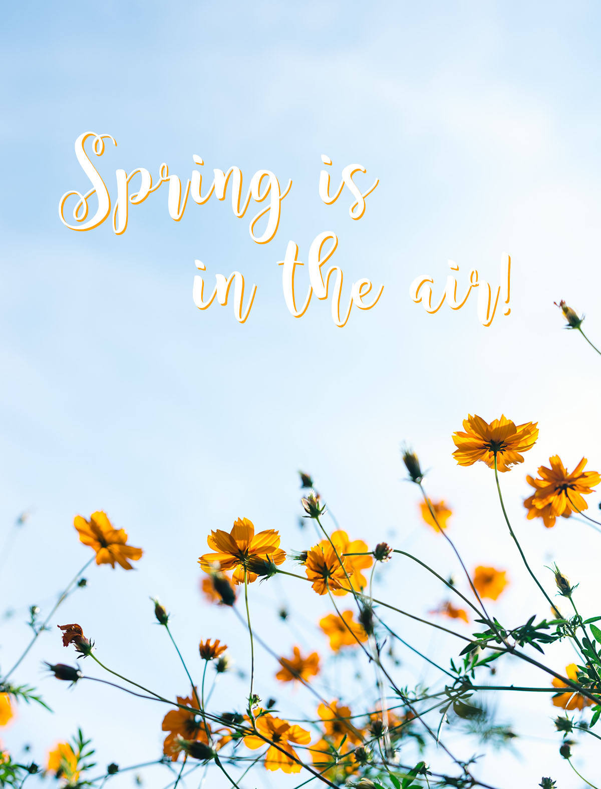 Empty the Fridge - De lente is er